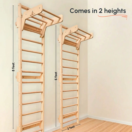 Curious Cub Wall Ladder