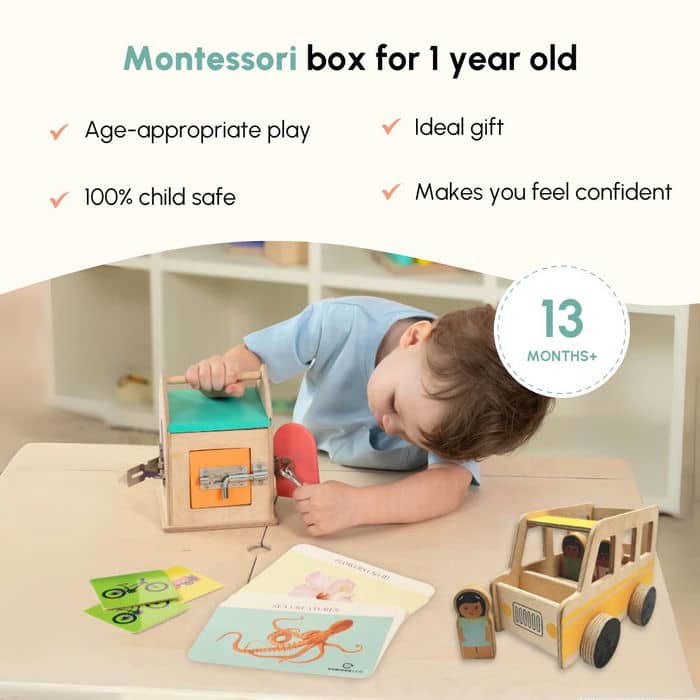 Curious Cub Level 10 (22+ Months)
