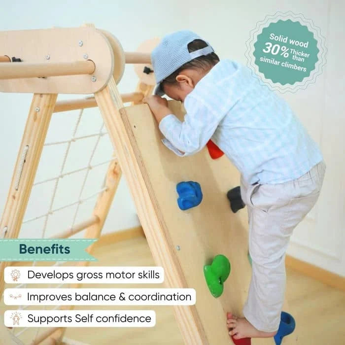 Curious Cub Foldable Jungle Gym