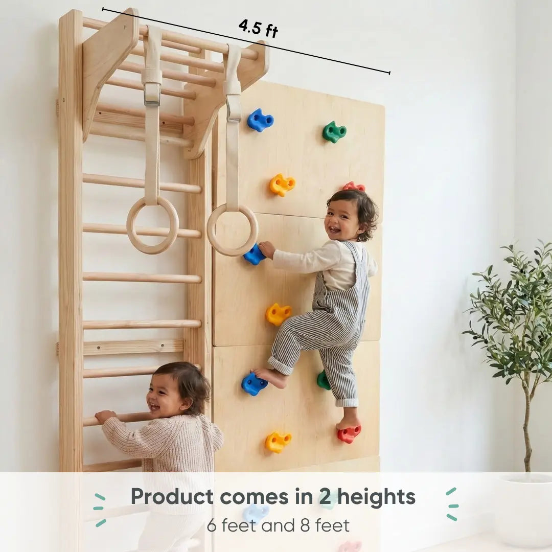 Curious Cub Space Saver Jungle Gym 1