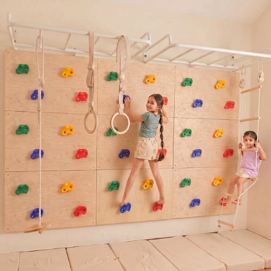 Curious Cub Ultimate Jungle Gym 1