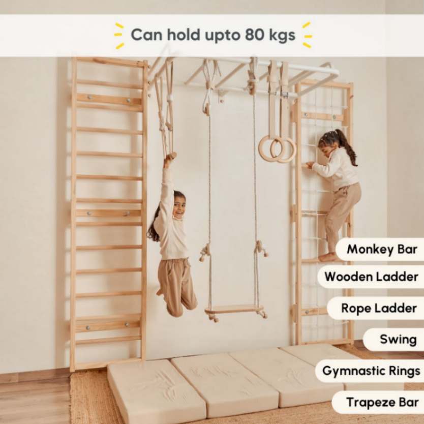 Curious Cub Ultimate Jungle Gym 2