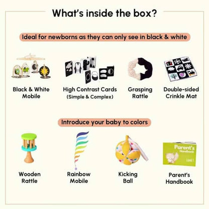Curious Cub Level 1 (Newborn Toys)