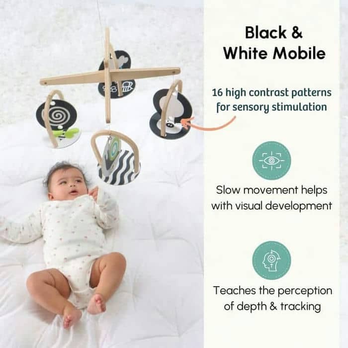 Curious Cub Level 1 (Newborn Toys)