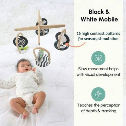 Curious Cub Level 1 (Newborn Toys)