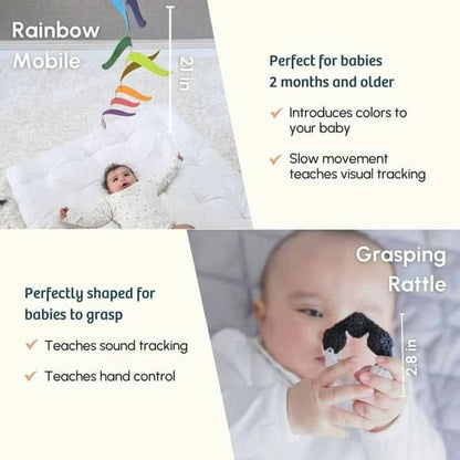 Curious Cub Level 1 (Newborn Toys)