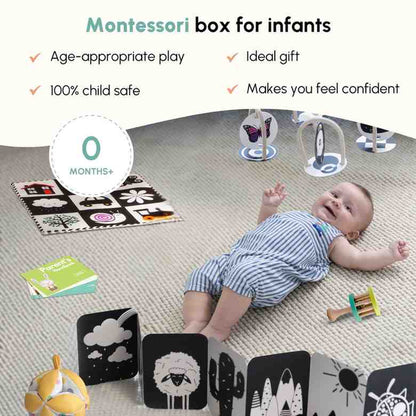 Curious Cub Level 1 (Newborn Toys)