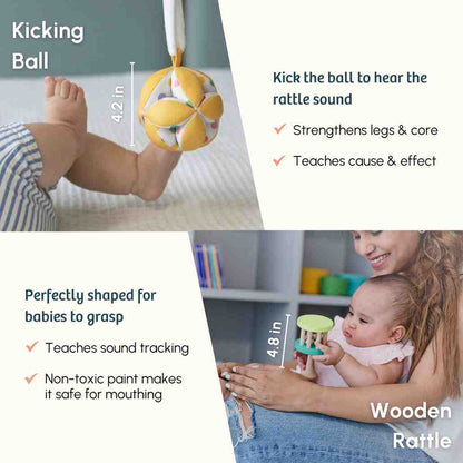 Curious Cub Level 1 (Newborn Toys)