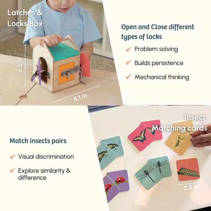 Curious Cub Level 10 (22+ Months)