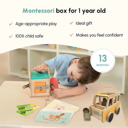 Curious Cub Level 10 (22+ Months)