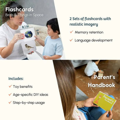 Curious Cub Level 11 (25+ Months)