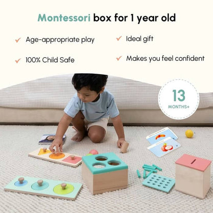 Curious Cub Level 7 (13+ months)
